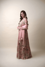 Load image into Gallery viewer, Anarkali Set
